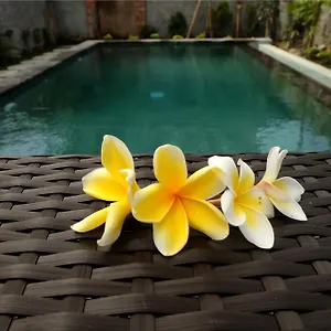Eka Bali Guest house Ubud (Bali)